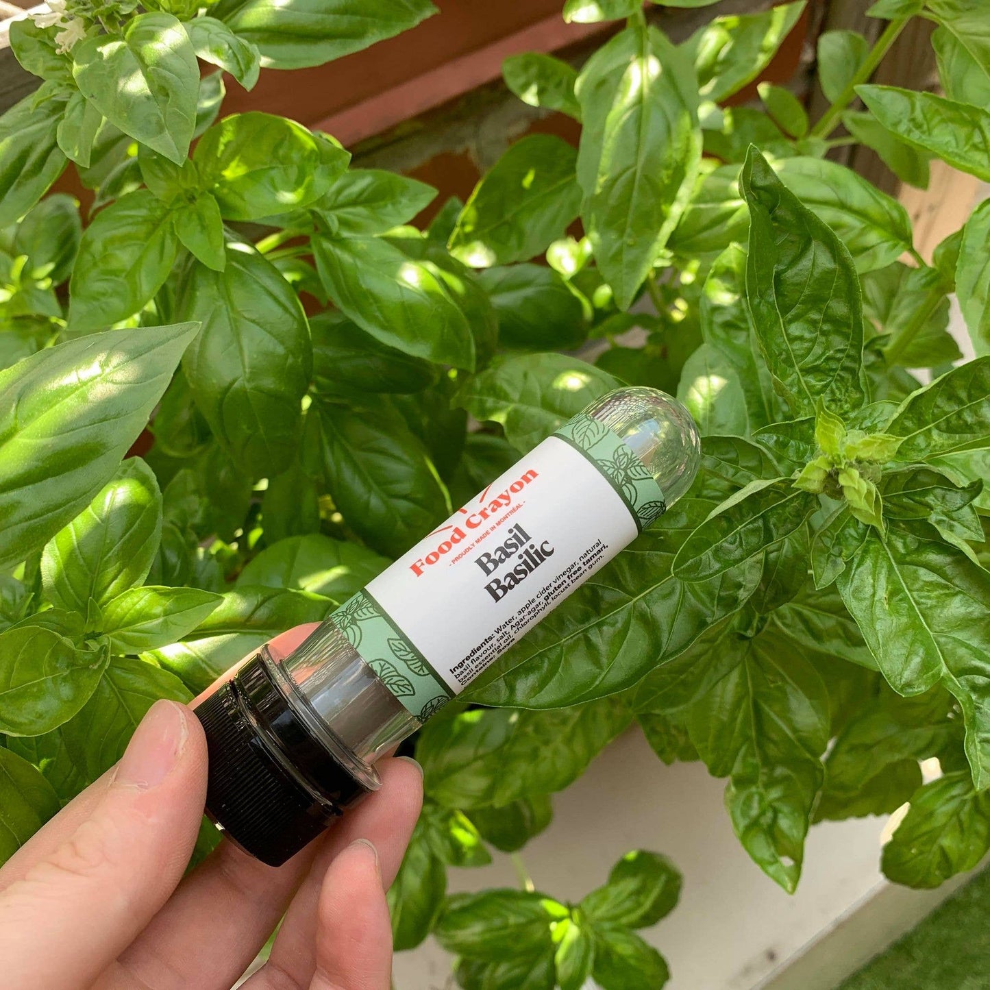 Basil - Food Crayon